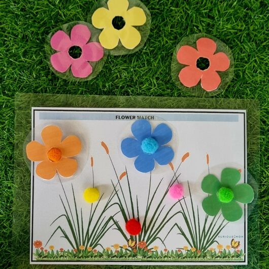 flower colour sort activity for kids