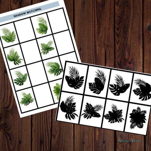 Brain booster shadow matching printable worksheet