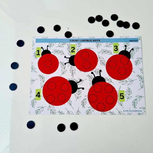 Count ladybug dots Activity