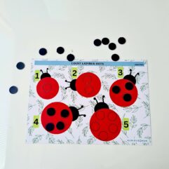 Count ladybug dots Activity