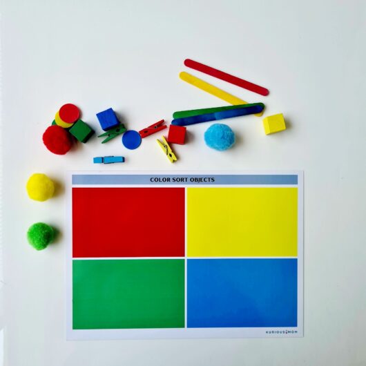 colour sort activity for kids