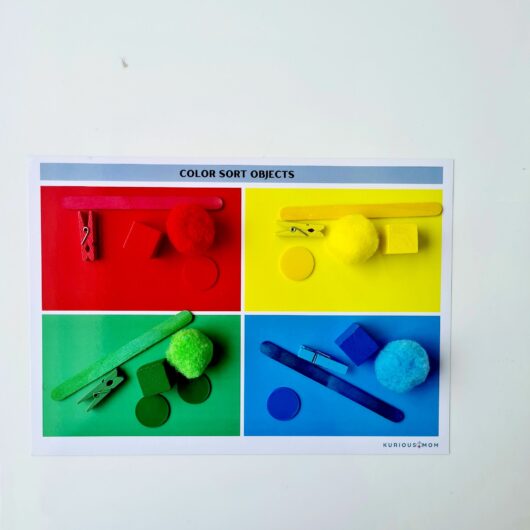 colour sort activity for kids