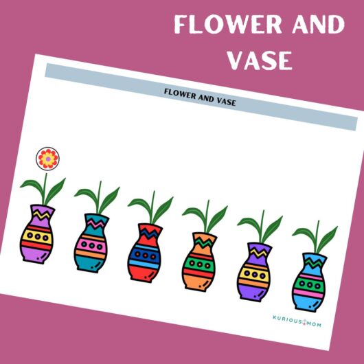 Flower and vase Activity worksheet