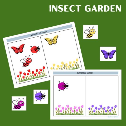 insect colour sort printable activity worksheet for kids