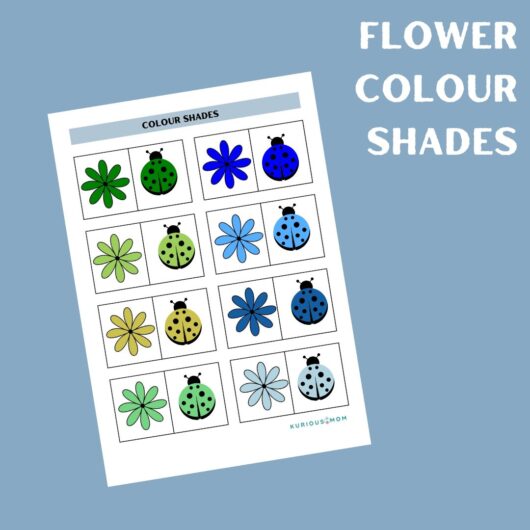 flower colour sort printable activity worksheet for kids