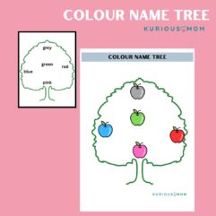 Colour name tree activity worksheet for kids