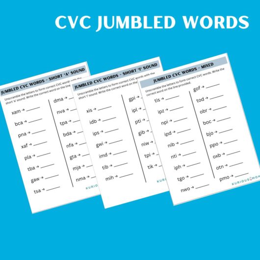 CVC jumbled words