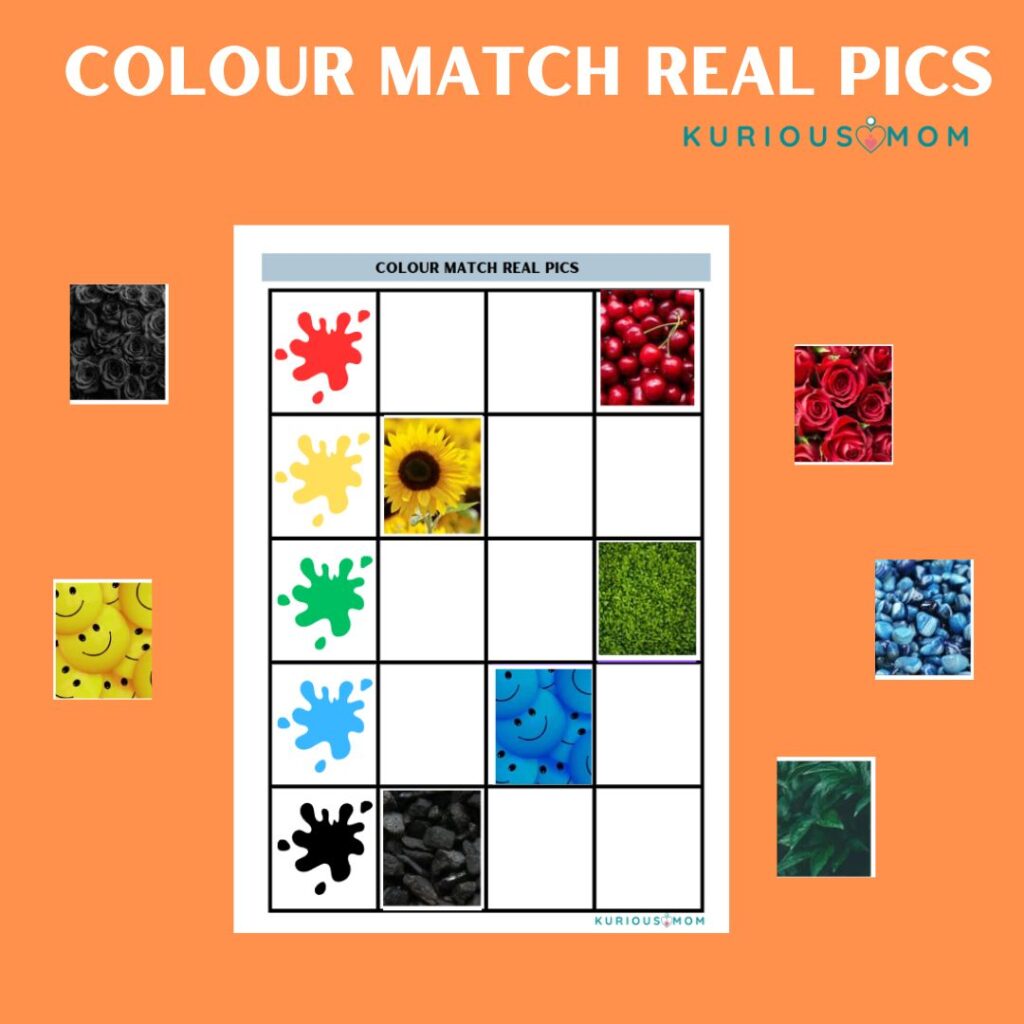 Colour Matching Section Colour match real pics printable worksheet - KuriousMom Shop