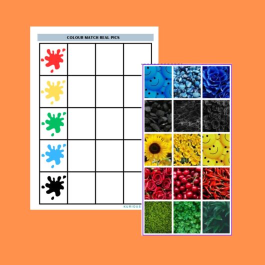 Colour match real pics printable worksheet - Image 2